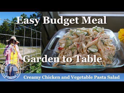 Creamy Chicken and Vegetable Pasta Salad Recipe