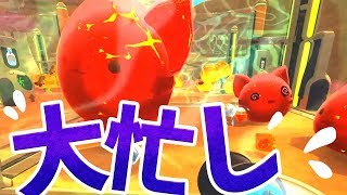 #19 スライム牧場は大忙し！【Slime Rancher】