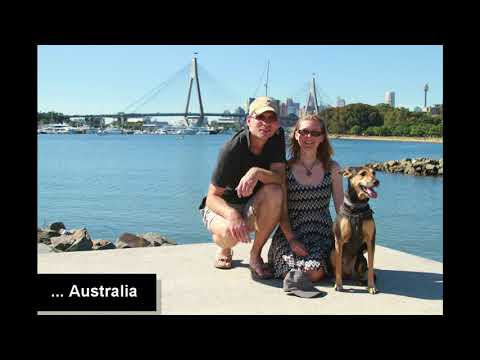 Rescued Indian Street Dog becomes globe-trotter, traveling to 25 countries