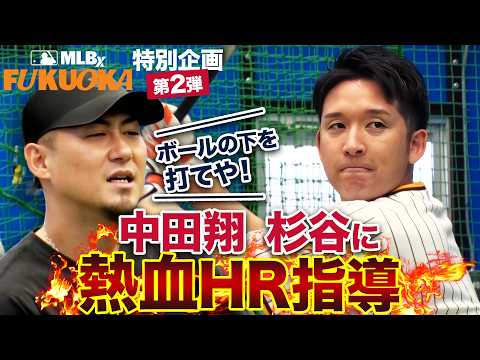 【MLBx特別企画 #2】杉谷拳士、劇的進化🚀⁉️専属コーチ中田翔が愛ある鬼指導🔥チームメンバーも発表🤩｜11.7 MLBx: Fukuoka 日本初開催！チケット好評販売中