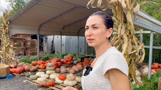 Shopping from Local Farmers Market | ECOVACS DEEBOT T80 OMNI | Heghineh