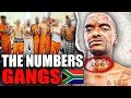 How This GANG Controls ALL PRISONS In South Africa