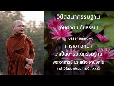 พระประเสริฐ ฐานังกโร บรรยายเรื่อง การเอาเวทนามาเป็นอารมณ์กรรมฐาน
