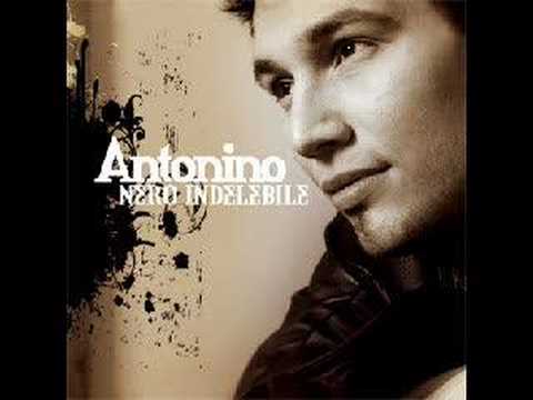 Antonino--Nero Indelebile--ROSE BIG MAMA