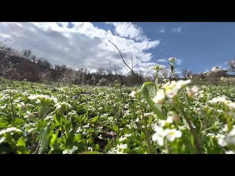 #nature_of_kurdistan