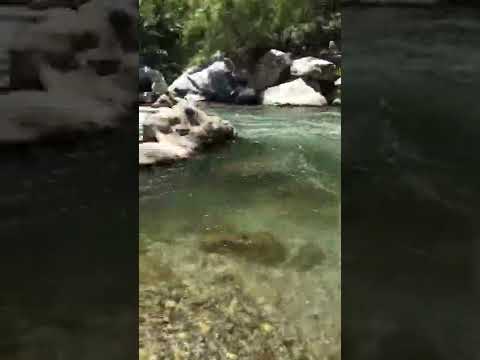 Mükemmel Doğasıyla Savruk Şelalesi