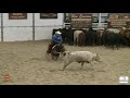 2018 Brazos Bash Open Futurity Champion Michael Cooper Tears From Heaven