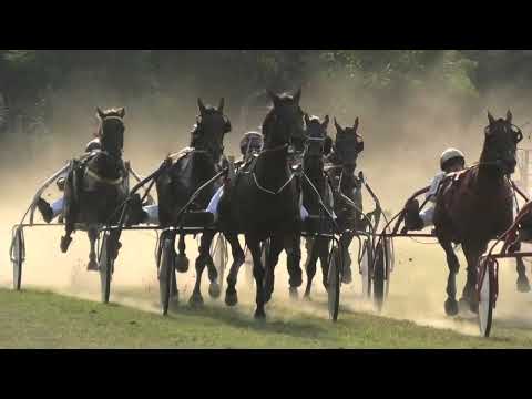 Trka "Građani Gospođinaca" 28.8.2022. Ursula Baba - Petar Petković