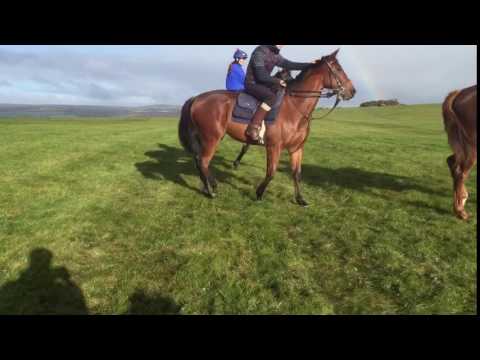 Bahamian bounty at Karl Burke