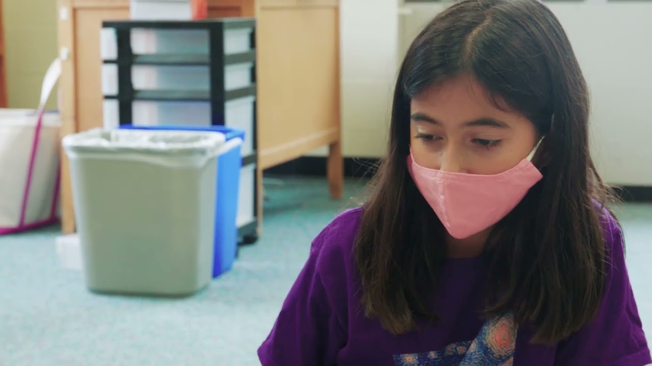 Primary Literacy Program