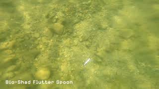 Video thumbnail 2
