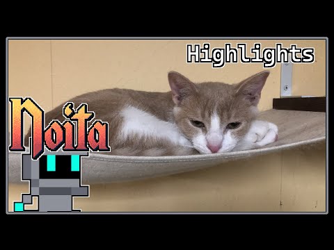 Relentlessly Blinding | Noita Highlights with the Cats