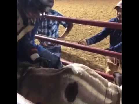 Jackson Ward highlights