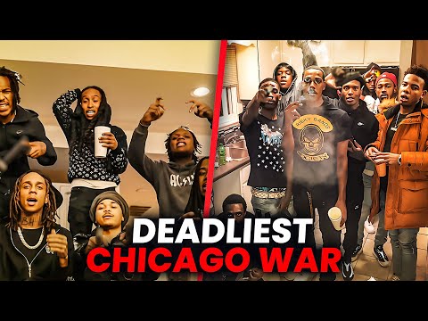 The Deadly War Between Bloodhound And Risky Road