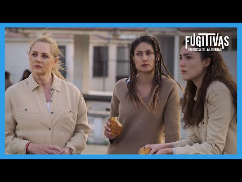 Imagen predeterminada