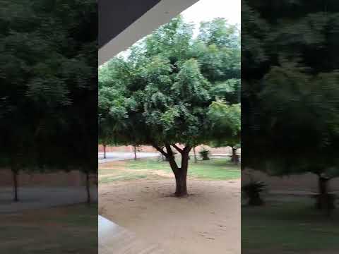 🇧🇷DOM EXPEDITO LOPES,  PIAUÍ, 28.12.2025 #nature #vlog #travel #sitio #villagelife