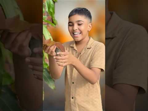 सर का भाई😢 #badri #emotional #lessonoflife #jagga #chiku #56 #dhonisir #shorts #sad #sadstory