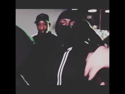 brvbus dans ses débuts