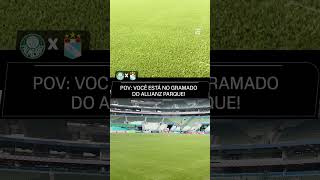 GRAMADO DO ALLIANZ PARQUE PRONTO PARA PALMEIRAS X SPORTING CRISTAL NA LIBERTADORES! 🌱🐷