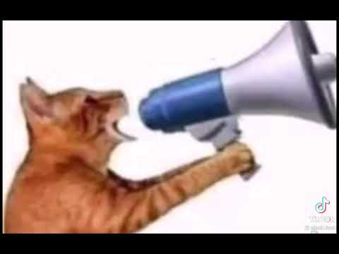 alarma para despertar