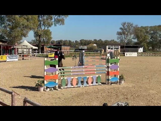 Cavalla da salto con grande cuore e qualit&agrave;