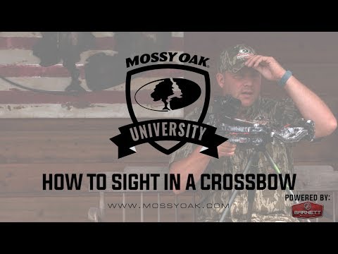 How To Sight In A Crossbow Scope