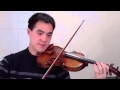 Song of Skyrim: Multi-Violin Solo 