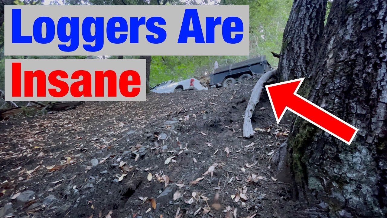 Insane Things Loggers Will Do to Get Logs Out