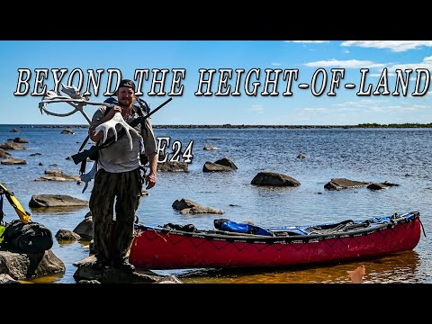 Beyond the Height-of-Land E.24 - BELUGA WHALES & Polar Bears | 25 Days in the Northern Manitoba Wild