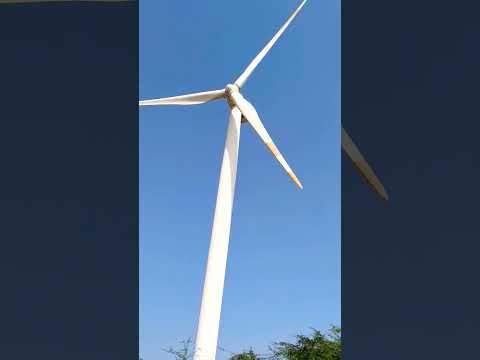 Last Destination Of The kutch Sergeant Johny's Beach #Short #shorts #viral #trending