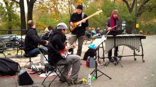 Rhythm-A-Ning • Chris Dingman Quartet • Jazz & Colors / Central Park • 11/10/12