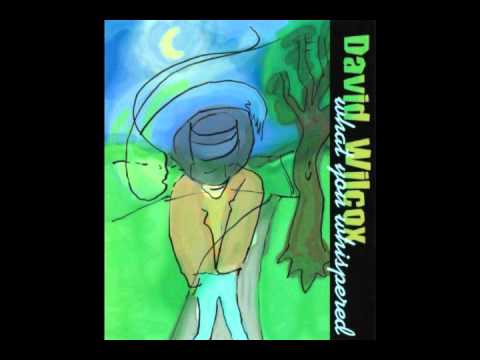 Videoclip de Rule Number One — David Wilcox