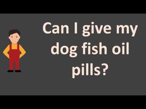 Can I give my dog fish oil pills ?
