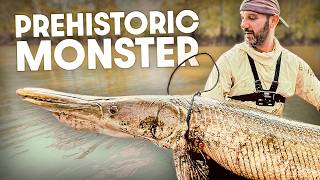 We Went Looking for Monster Fish… and Found One
