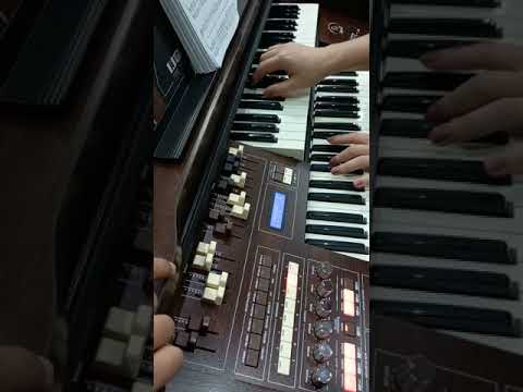 Órgão T1 Spinet 🎶❤ TOKAI 🎹