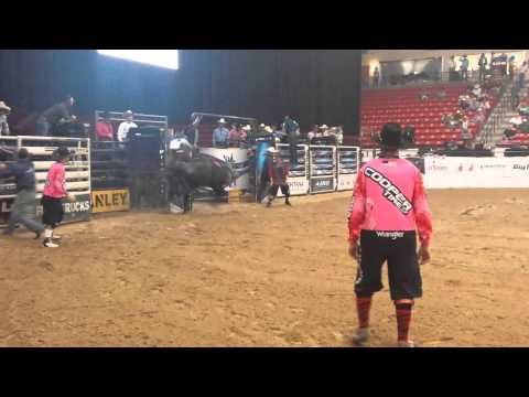1R4 Little Bit Rowdy • ABBI Life Derby • 10-24-14