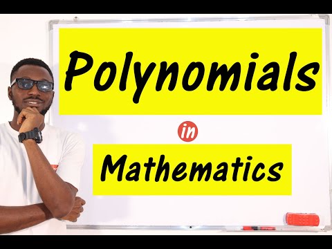 Polynomials - Detailed Explanation /Well Solved For You