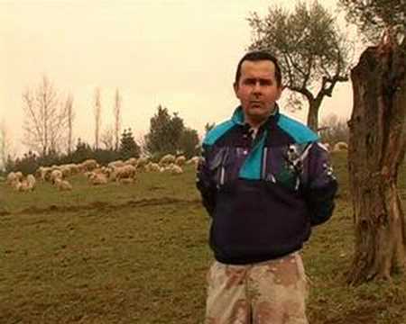 Azienda Agricola "Il Buon Pastore"