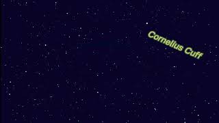 Kenny (Babyface) Edmonds-Wonderful Tonight.  (2007)