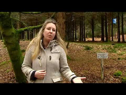 Le Morvan, haut lieu de la Résistance 2