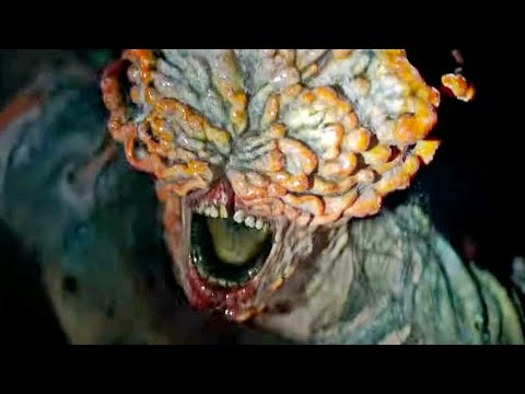 Die Pilzinfektion Von The Last Of Us Ist Real Und Absolut Beängstigend