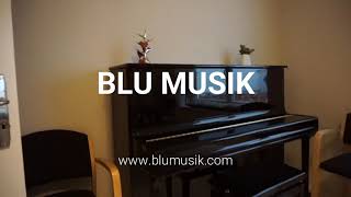 Blu Musik
