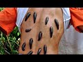 ANACONDAS 2 2004 ️Lintah Full HD BATUR SEJIWE Anaconda
