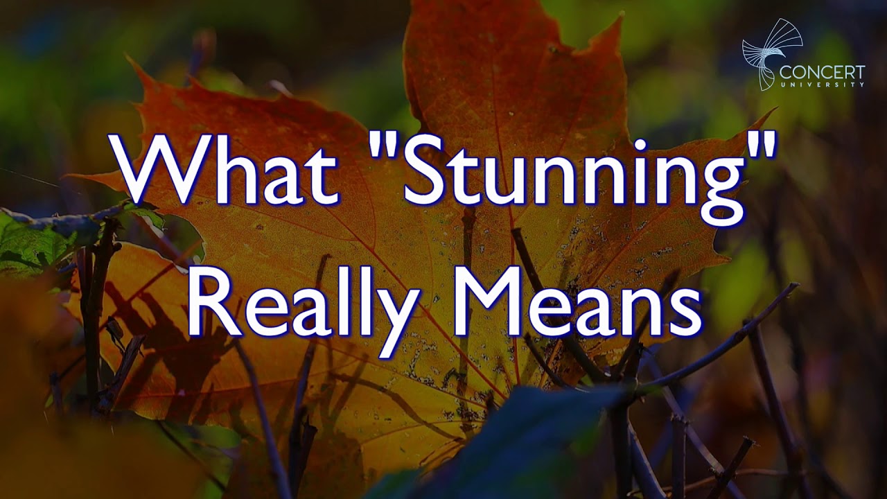 What does being a 'Stunning Performer' ACTUALLY mean