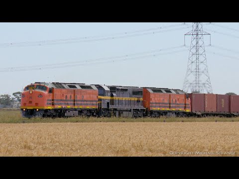 9721V Dooen Containers With CLF4, C501 & CLF2 (15/12/2020) - PoathTV Australian Trains & Railways