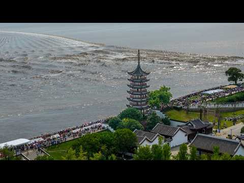 Live: Spectacular views of the 2026 Qiantang River tidal bore in east China