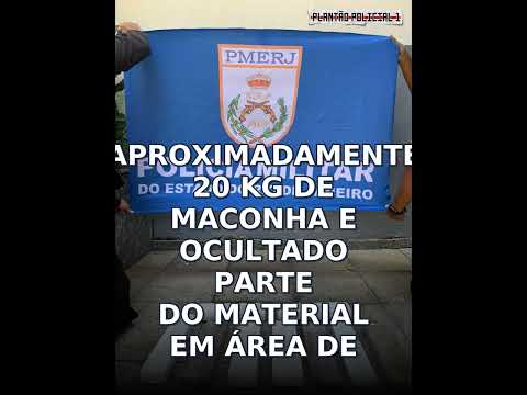 Escondida em bambuzal: PM encontra 9 kg de maconha em Paraíba do Sul; carga avaliada em R$ 55 m