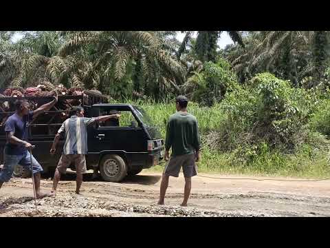 Solidaritas tanpa batas di jalan