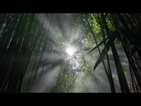 Fatboy Slim - Right Here Right Now (Slowed + Reverb)