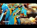 Rodeca Interactivity Format 16 9 Discover A New Design Freedom
